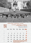 Calendario 2015 Roma Città Eterna 